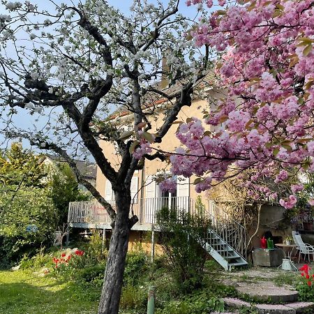Au Jardin Bed & Breakfast Zuchwil Dış mekan fotoğraf