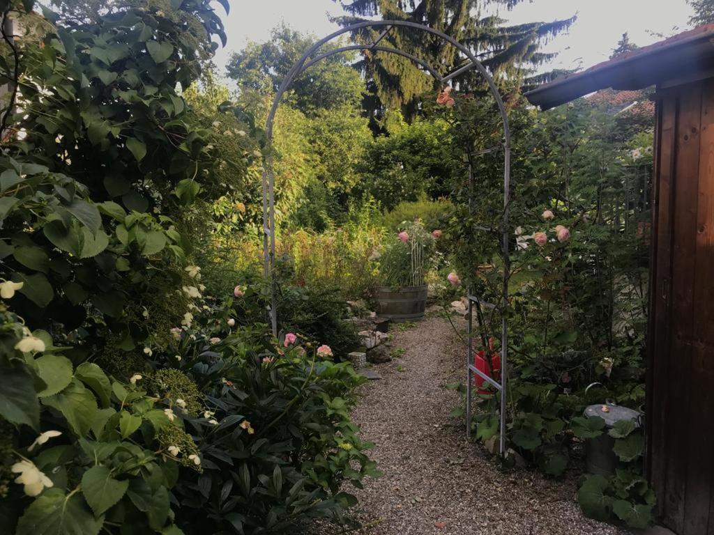 Au Jardin Bed & Breakfast Zuchwil Dış mekan fotoğraf