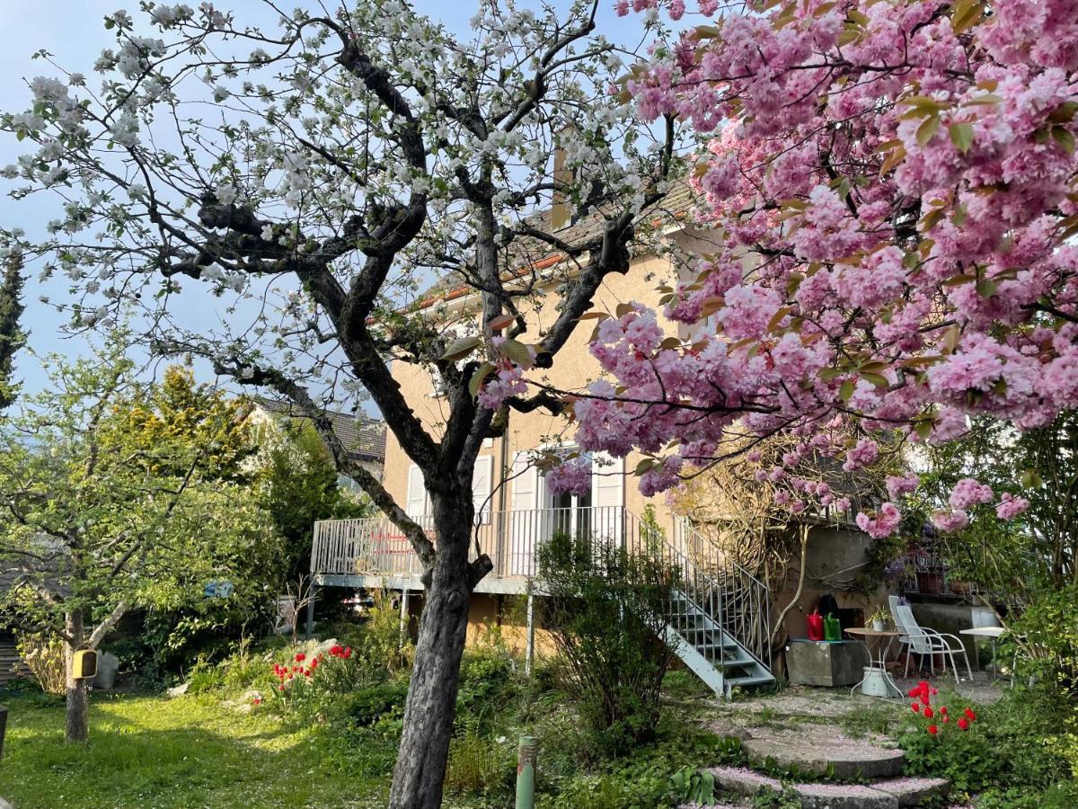 Au Jardin Bed & Breakfast Zuchwil Dış mekan fotoğraf