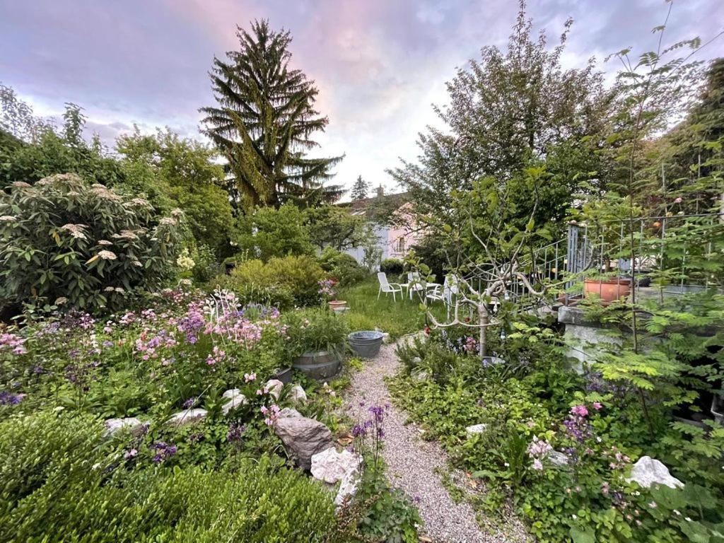 Au Jardin Bed & Breakfast Zuchwil Dış mekan fotoğraf