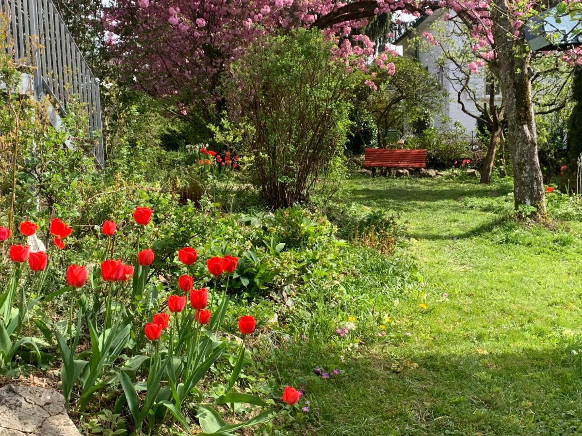 Au Jardin Bed & Breakfast Zuchwil Dış mekan fotoğraf